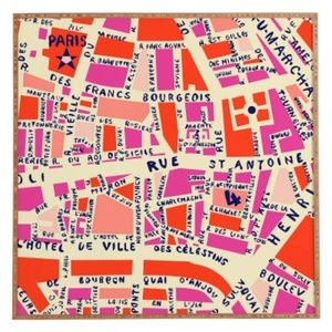 Paris Map Framed Graphic Art